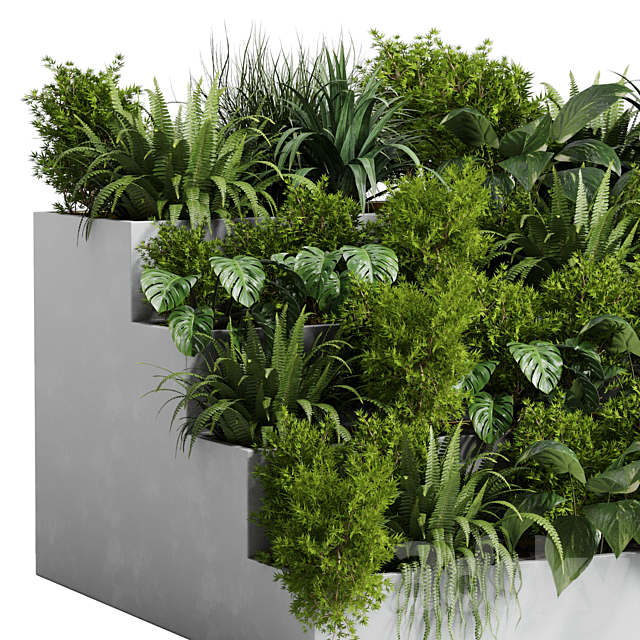 Collection outdoor indoor plant 54 stairs concrete vase pot fern bush grass ficus rubbery 3DSMax File - thumbnail 3