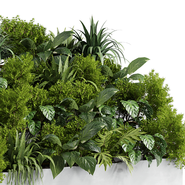 Collection outdoor indoor plant 54 stairs concrete vase pot fern bush grass ficus rubbery 3DSMax File - thumbnail 4