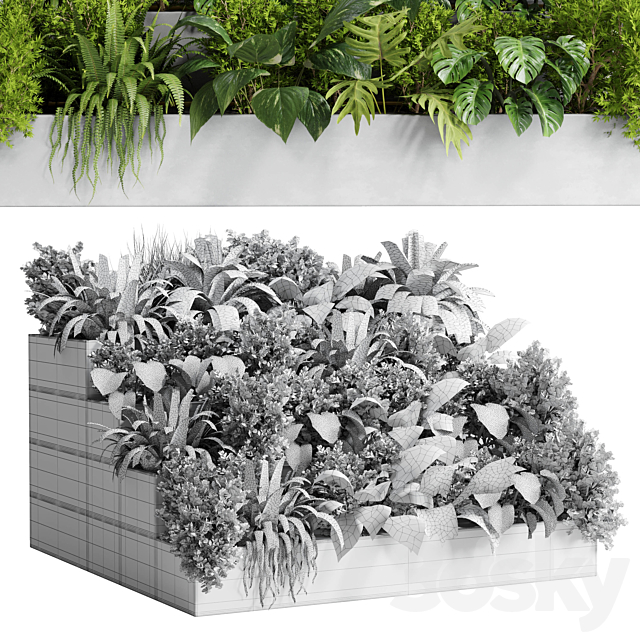 Collection outdoor indoor plant 54 stairs concrete vase pot fern bush grass ficus rubbery 3DSMax File - thumbnail 5