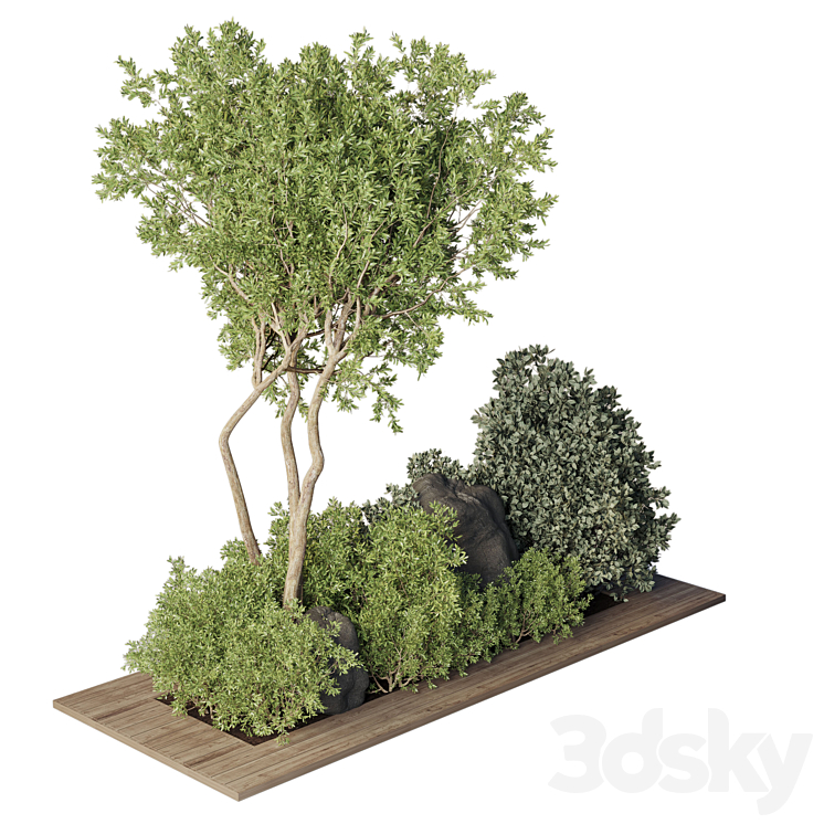 Collection Outdoor Indoor plant 67_green garden plant-tree-bush corona 3DS Max - thumbnail 2