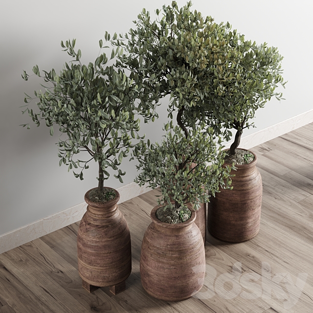 collection outdoor plant 19 -wood old vase 3ds Max - thumbnail 2