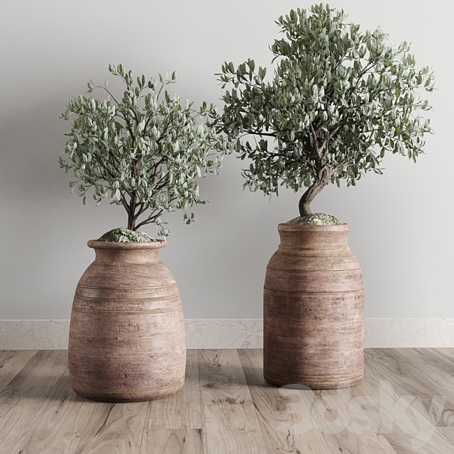 collection outdoor plant 19 -wood old vase 3ds Max - thumbnail 3