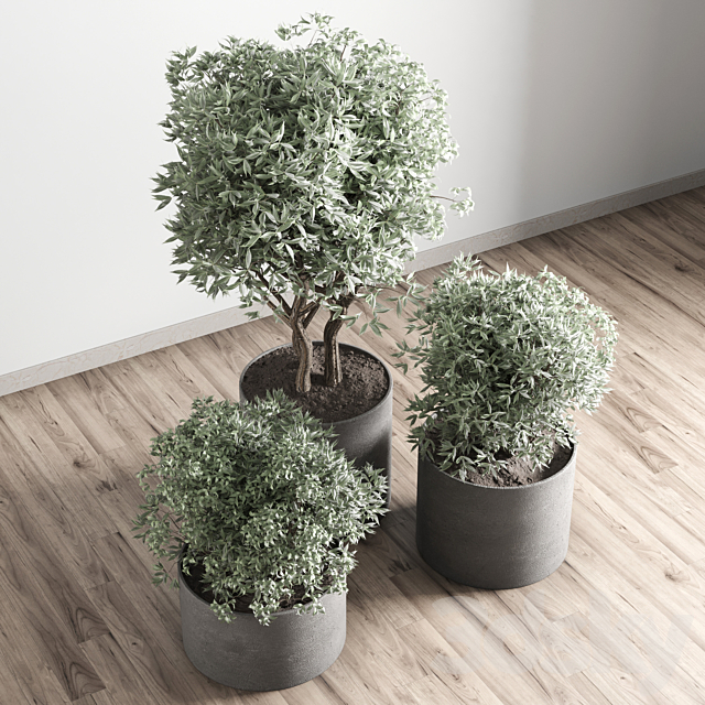 collection outdoor plant 24 concrete vase 3ds Max - thumbnail 3