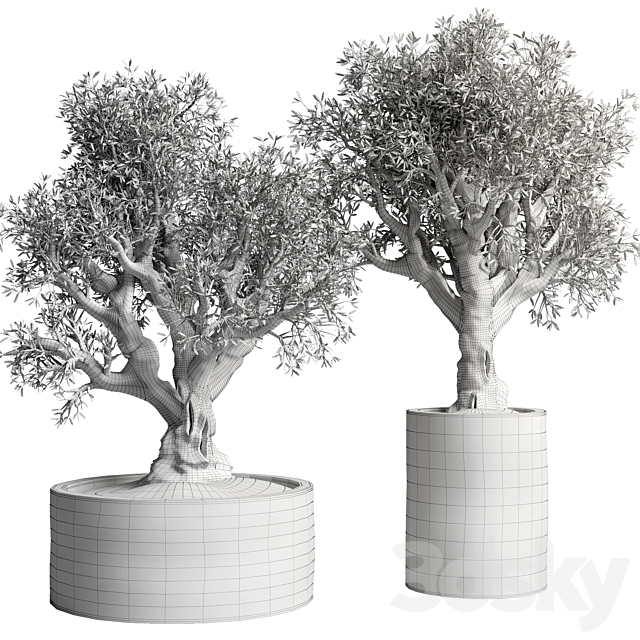 Collection outdoor plant 38 pot old olive tree concrete old vase 3DS Max Model - thumbnail 7