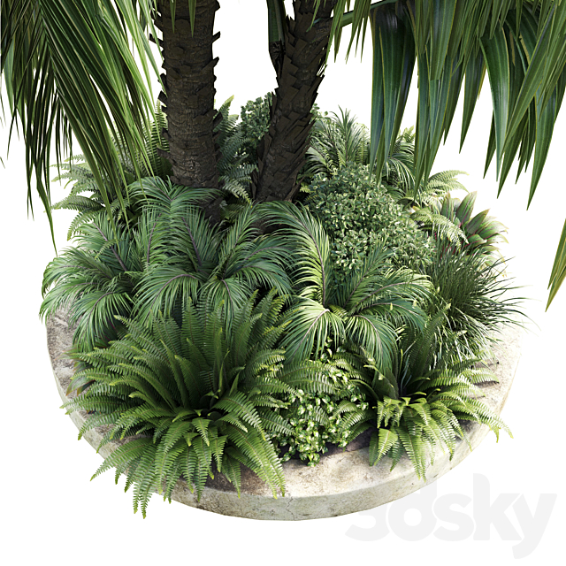 Collection Outdoor plant 39 in garden pot tree palm bush fern concrete dirt old vase 3DS Max Model - thumbnail 2