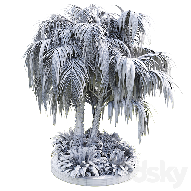 Collection Outdoor plant 39 in garden pot tree palm bush fern concrete dirt old vase 3DS Max Model - thumbnail 3