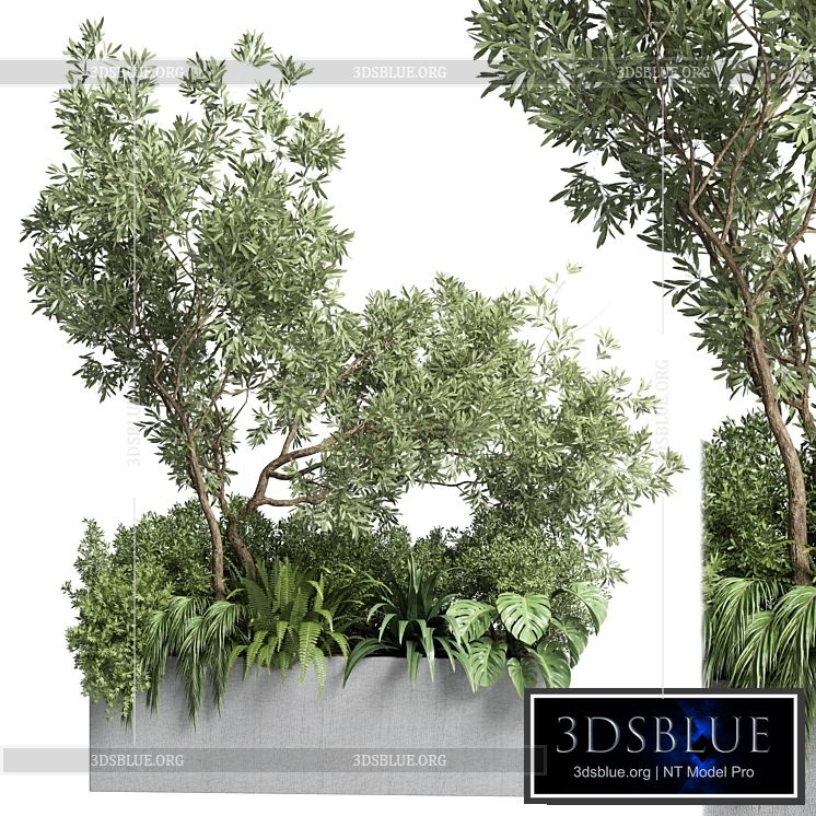 Collection outdoor plant 68 pot plant bush grass and tree and palm concrete vase bax 3DS Max - thumbnail 3