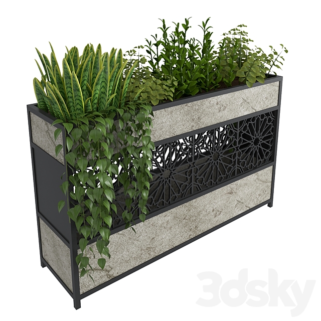 Collection plant 19 3ds Max - thumbnail 2