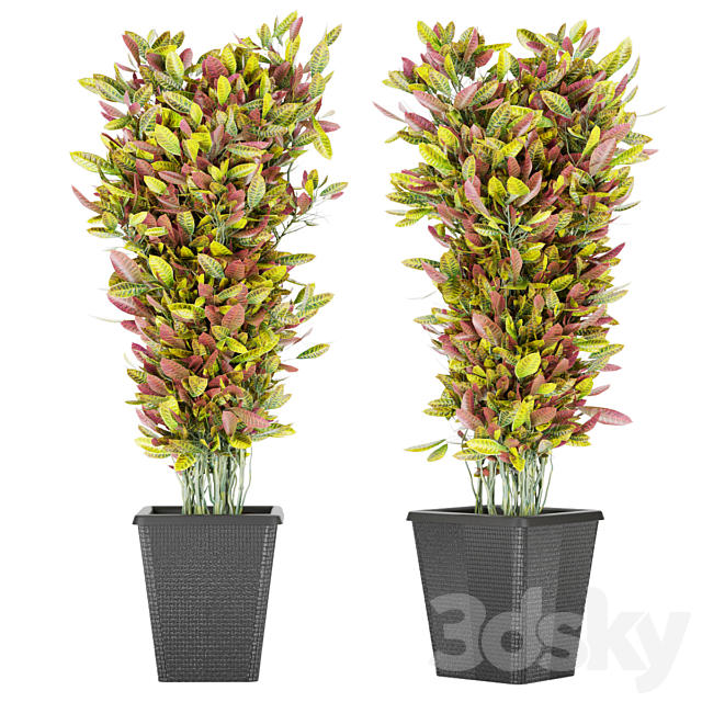 Collection plant vol 12 3DS Max Model - thumbnail 2