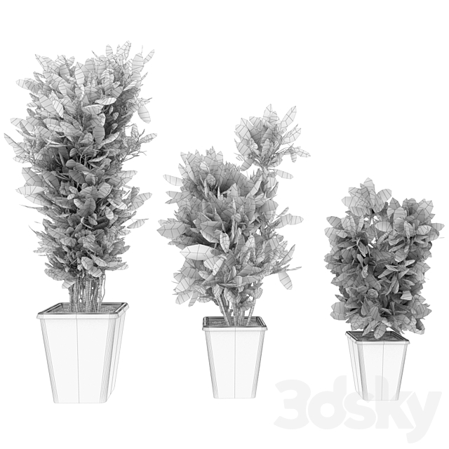 Collection plant vol 12 3DS Max Model - thumbnail 5