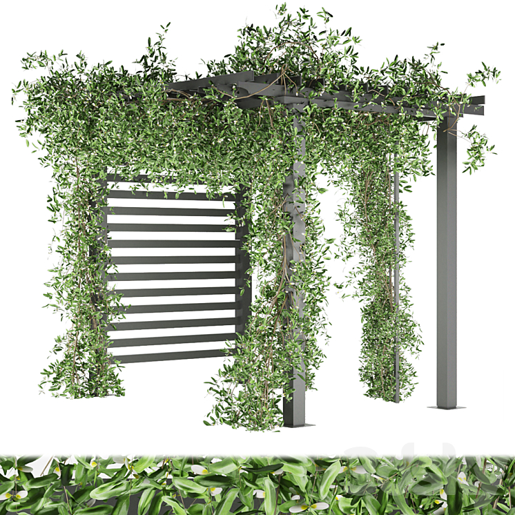 Collection plant vol 143 3DS Max - thumbnail 1