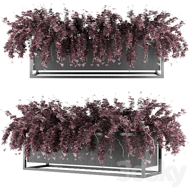 Collection plant vol 15 3DSMax File - thumbnail 3