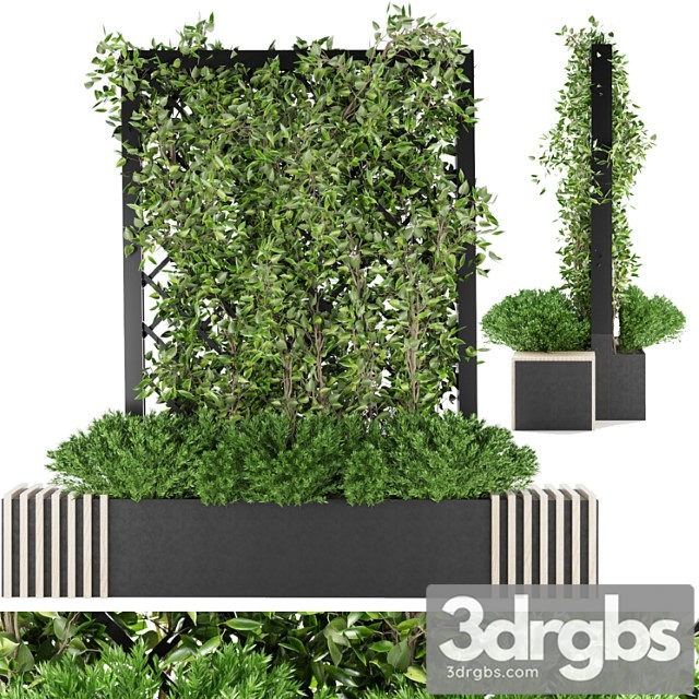 Collection Plant Vol 16 3dsmax Download - thumbnail 1