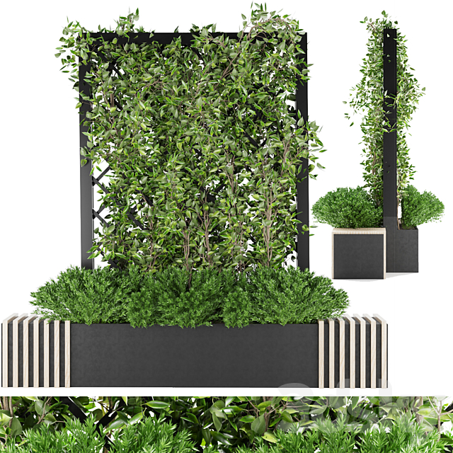 Collection plant vol 16 3DSMax File - thumbnail 1