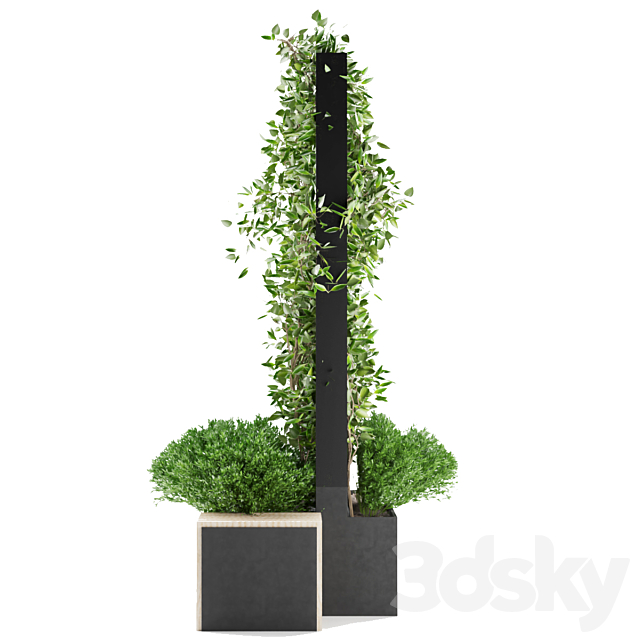 Collection plant vol 16 3DSMax File - thumbnail 4