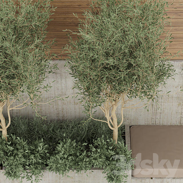 Collection plant vol 196 3ds Max - thumbnail 2