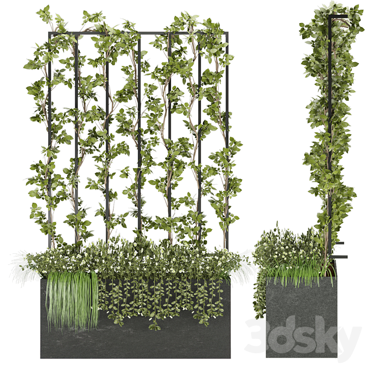 Collection plant vol 36 3DS Max - thumbnail 2