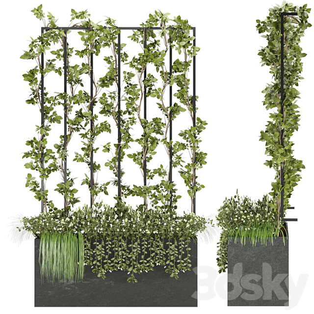 Collection plant vol 36 3DSMax File - thumbnail 2