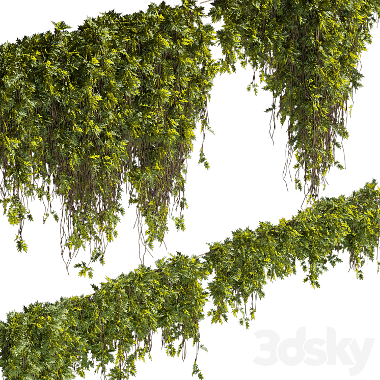 Collection plant vol 425 3DS Max Model - thumbnail 2