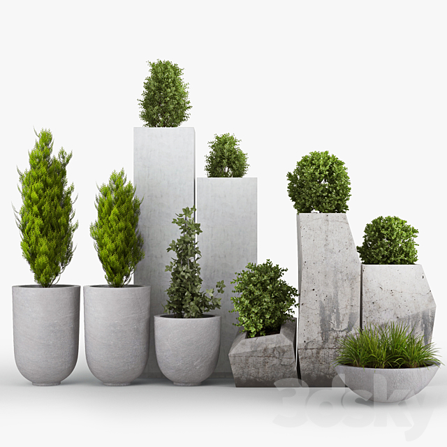 Concrete_Plant_Set 3DSMax File - thumbnail 1