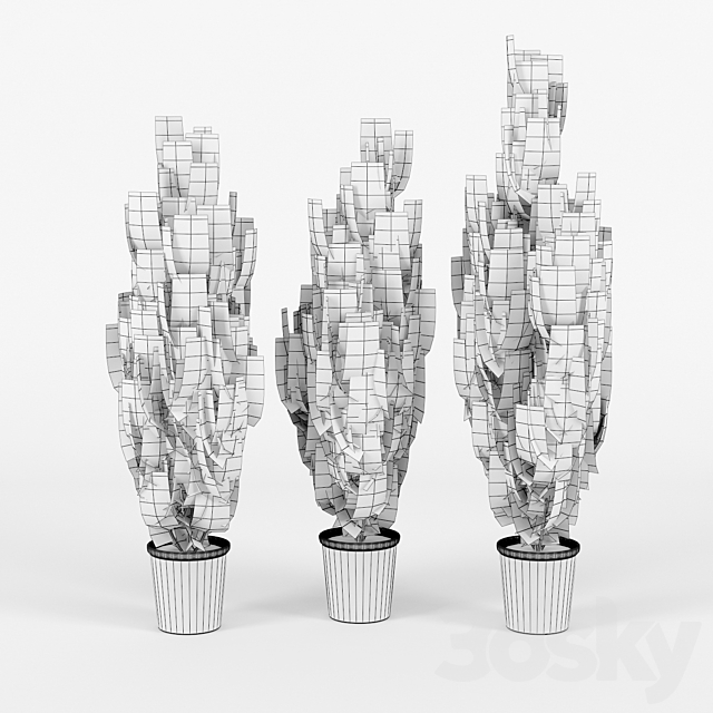 Cupressus wilma 3DSMax File - thumbnail 2