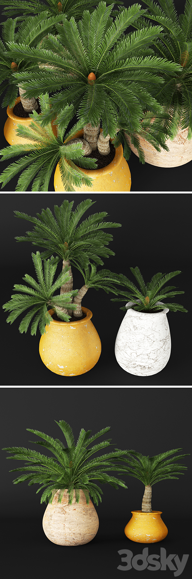 Cycas collection flower pot flowerpot outdoor exotic 3ds Max - thumbnail 2