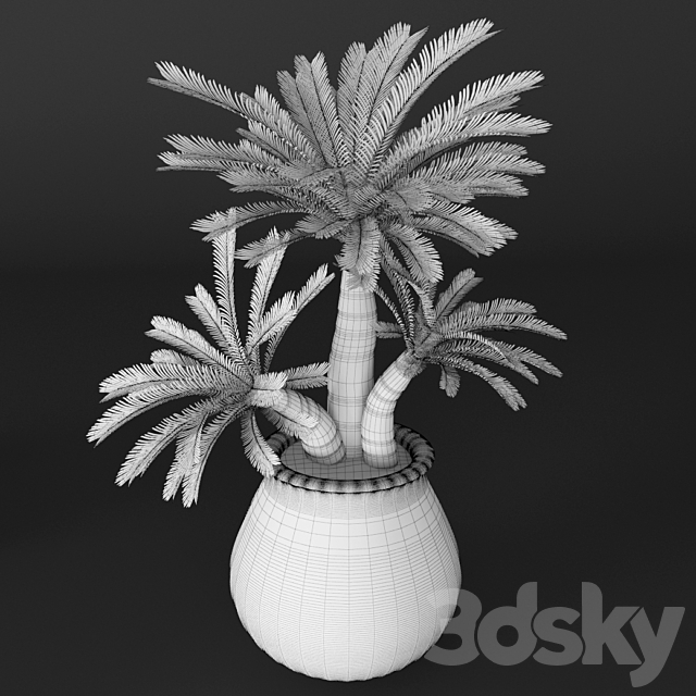 Cycas collection flower pot flowerpot outdoor exotic 3ds Max - thumbnail 3