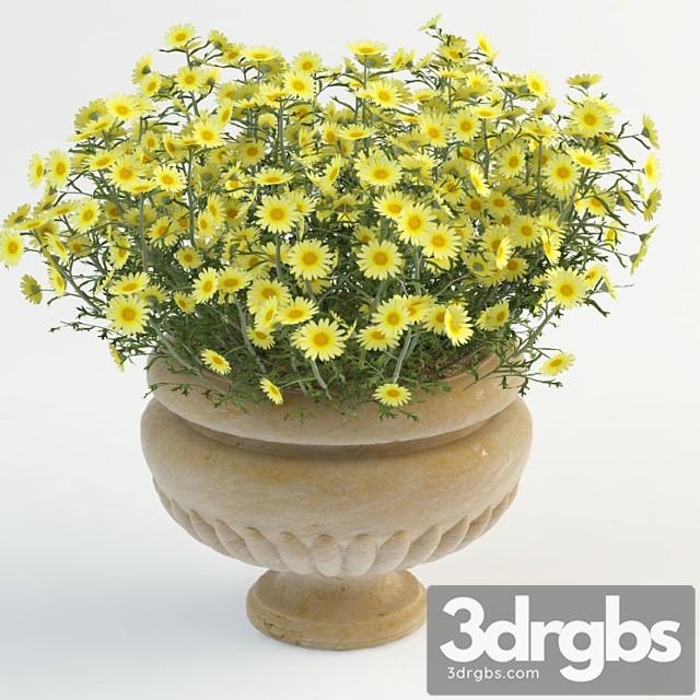 Daisy in Pot 3dsmax Download - thumbnail 1