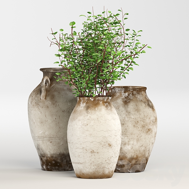 decor-jug 3DS Max Model - thumbnail 2