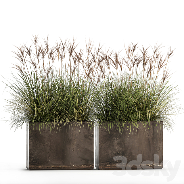 Decorative Miscanthus bushes in a rusty metal outdoor pot veinik fan. Set 933. 3ds Max - thumbnail 1