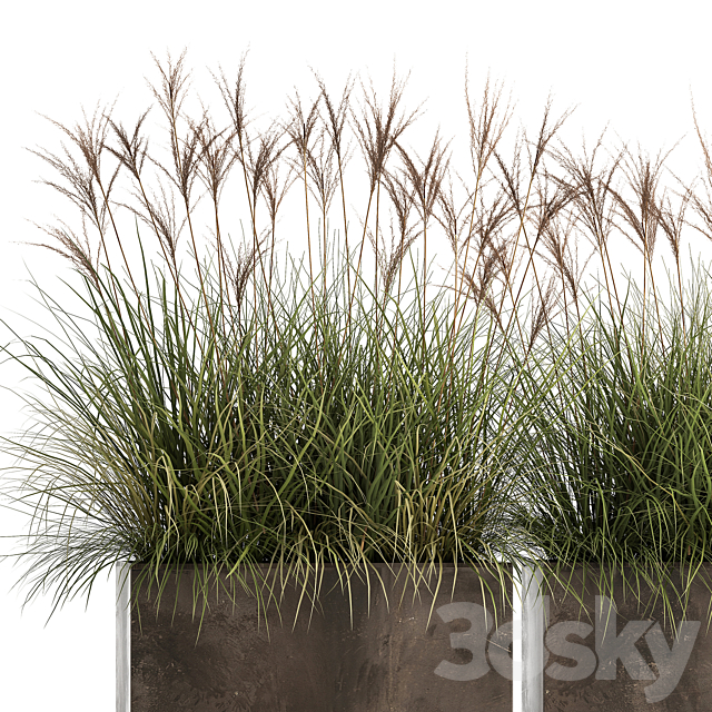 Decorative Miscanthus bushes in a rusty metal outdoor pot veinik fan. Set 933. 3ds Max - thumbnail 2