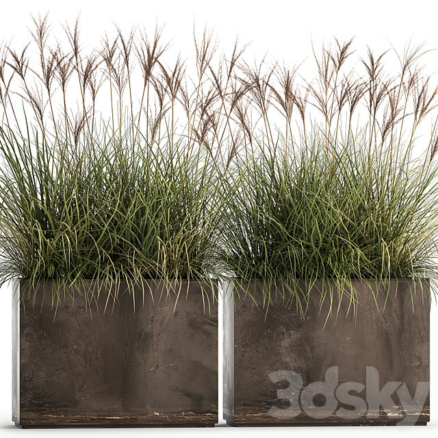 Decorative Miscanthus bushes in a rusty metal outdoor pot veinik fan. Set 933. 3ds Max - thumbnail 3