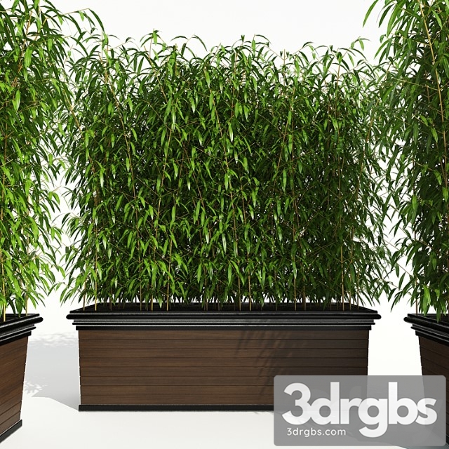 Decorative Plant 2 2 3dsmax Download - thumbnail 1