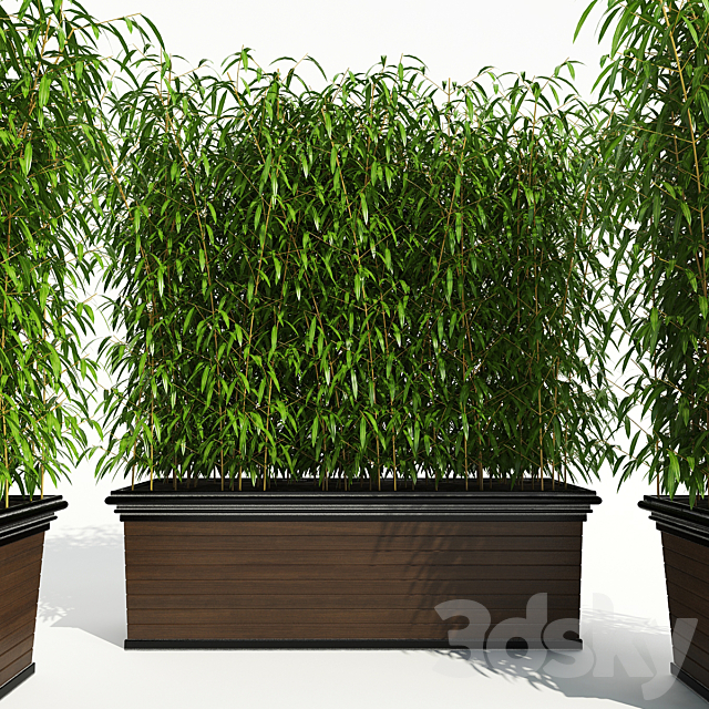 Decorative Plant 2 3ds Max - thumbnail 1