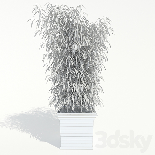 Decorative Plant 2 3ds Max - thumbnail 3