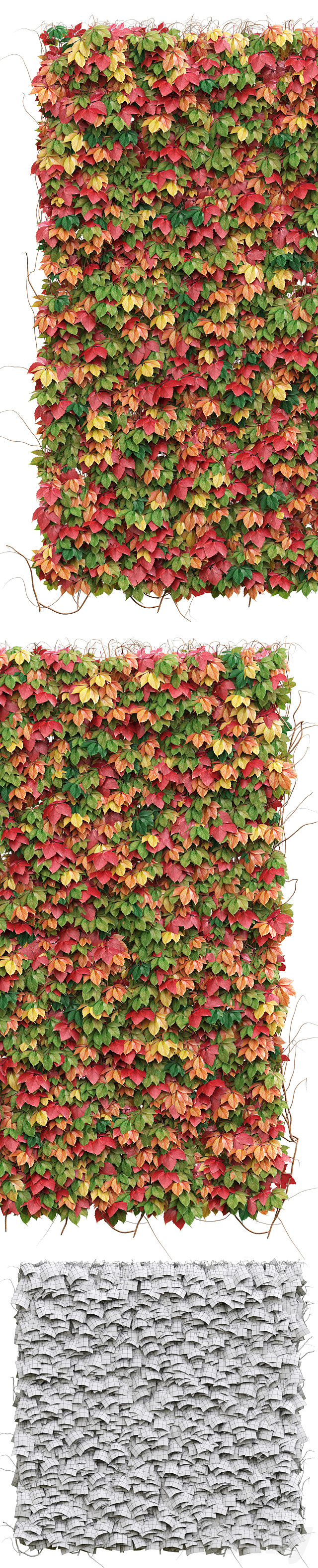 Decorative wall of autumn leaves of grapes 3DS Max Model - thumbnail 2