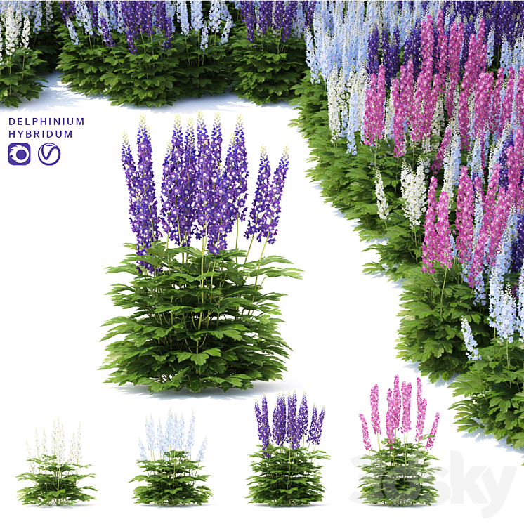 Delphinium hybrid flowers | Delphinium hybridum 3DS Max - thumbnail 1