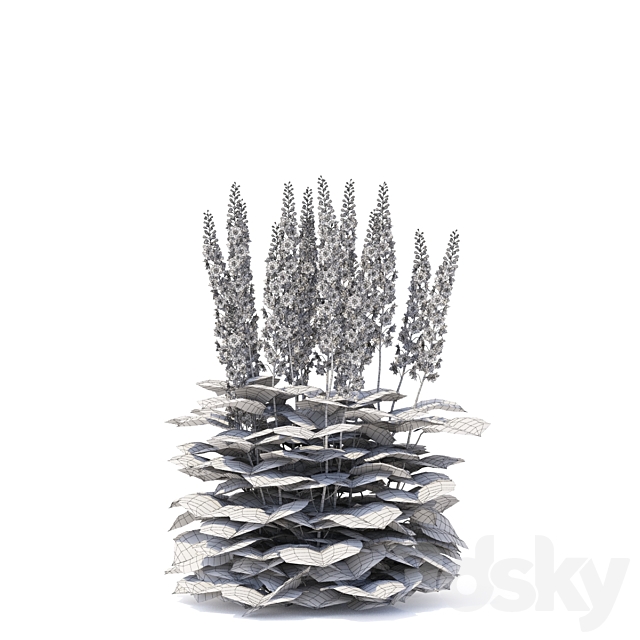 Delphinium hybrid flowers | Delphinium hybridum 3DSMax File - thumbnail 4