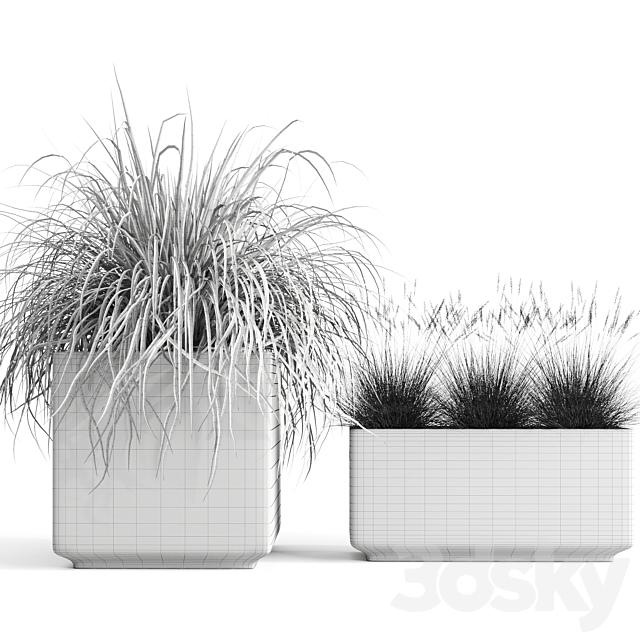 Dry decorative cereals in pots 3DSMax File - thumbnail 4