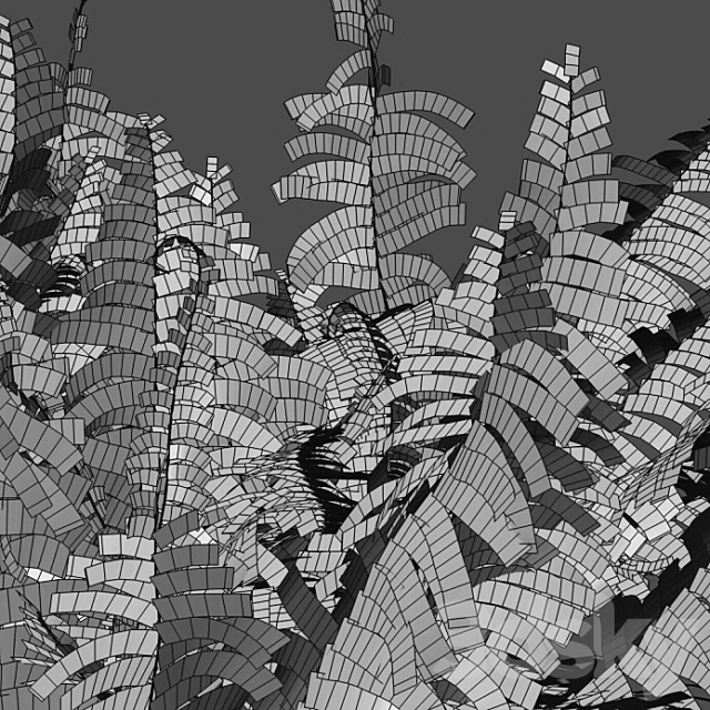 Dryopteris filix-mas – Male fern -02 3ds Max - thumbnail 3