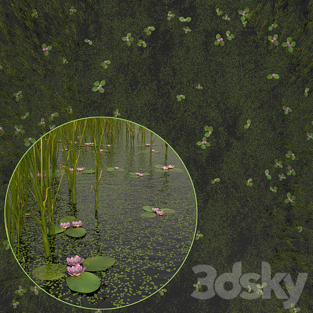 Duckweed Cattail and Water Lilies 3ds Max - thumbnail 1