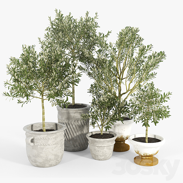 Eclectic Villa Planters 3dsMax Model - thumbnail 2