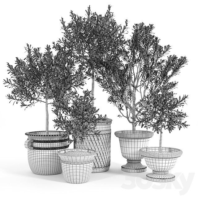 Eclectic Villa Planters 3dsMax Model - thumbnail 3