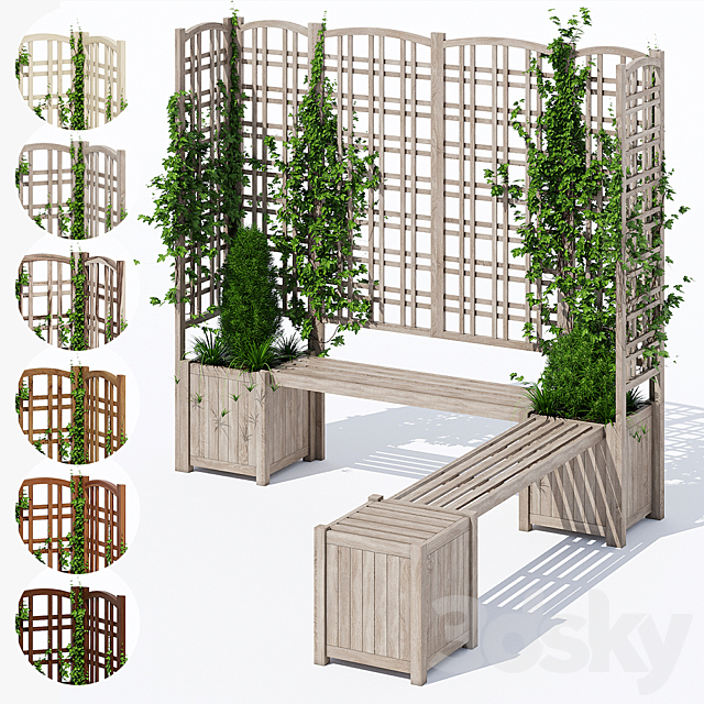 Eucalyptus 3DSMax File - thumbnail 1