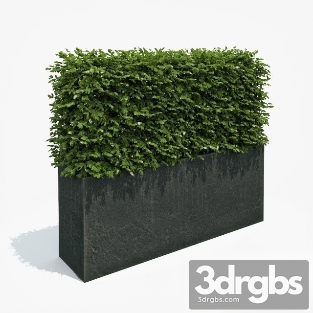 Fence Potted Plants 3dsmax Download - thumbnail 1