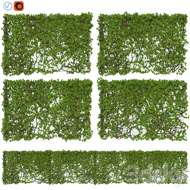 Fence with Ivy v12 3DS Max Model - thumbnail 1