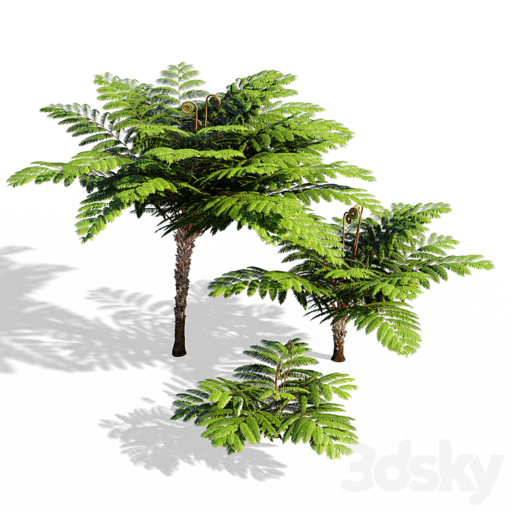 Fern 3DS Max - thumbnail 1