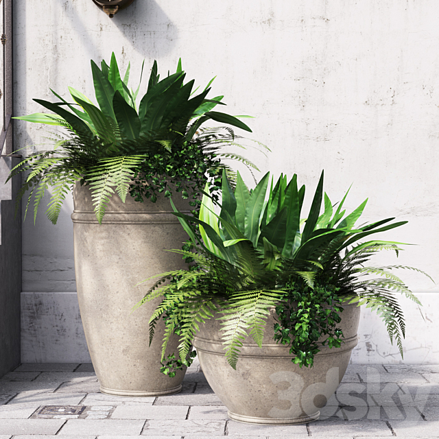 Fern 3DSMax File - thumbnail 1