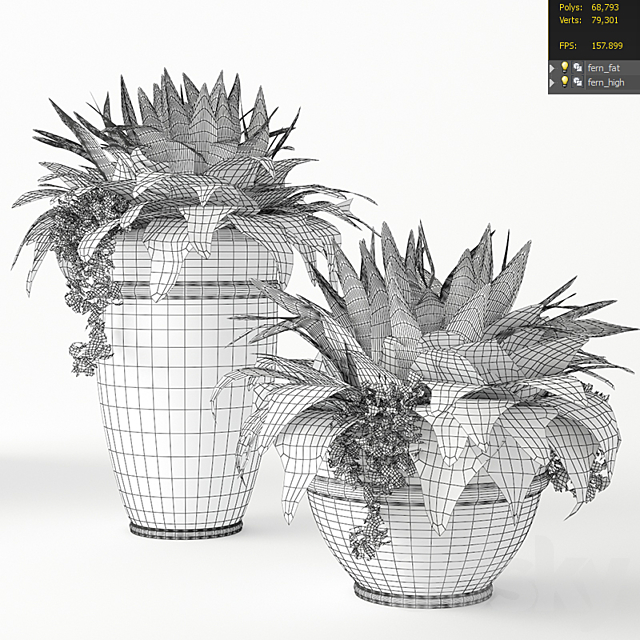 Fern 3DSMax File - thumbnail 3