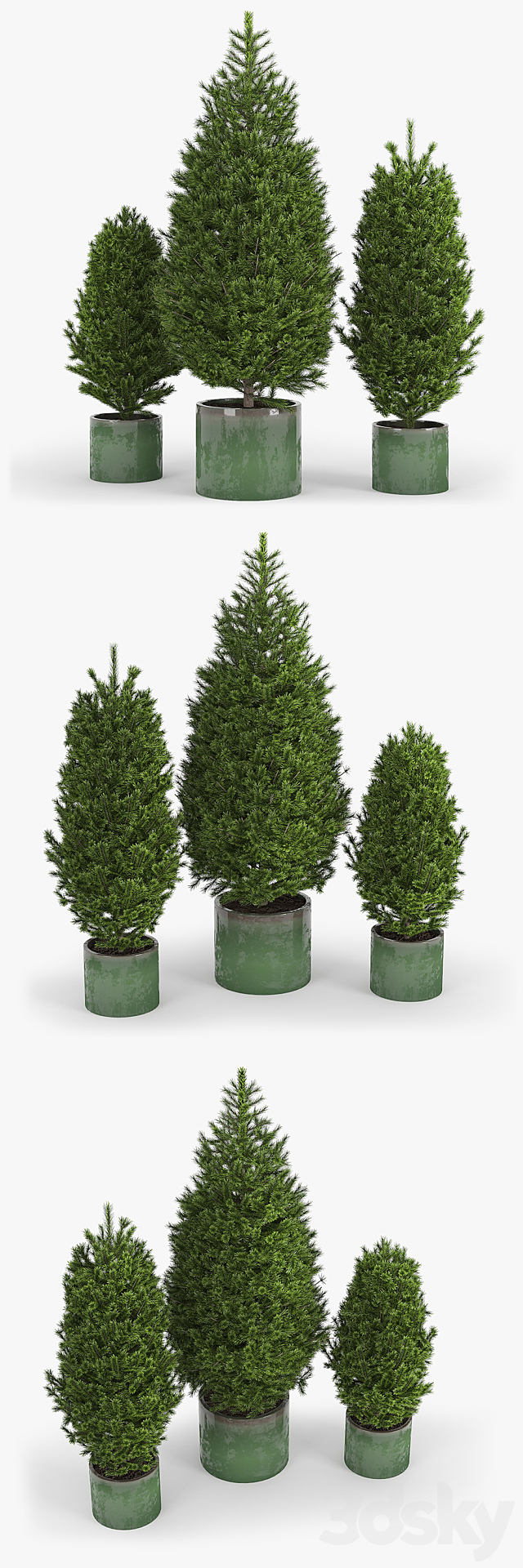 Fir tree fir 3DS Max Model - thumbnail 2